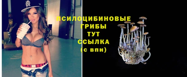 не бодяженный Вяземский