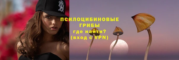 не бодяженный Вяземский