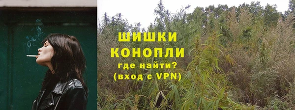 бошки Горнозаводск