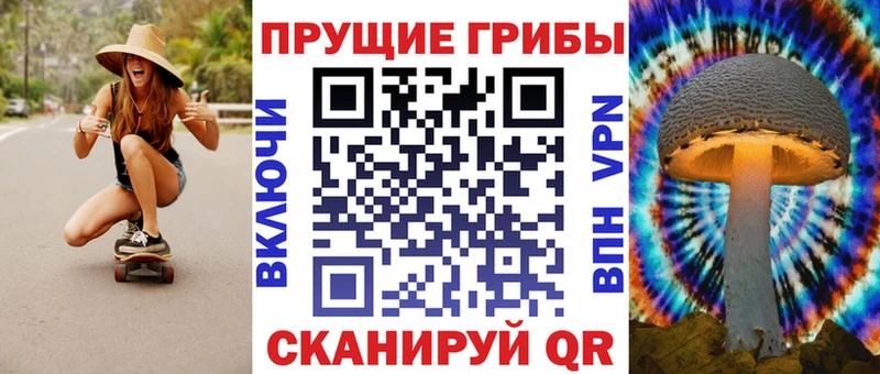 Псилоцибиновые грибы ЛСД  купить наркотики сайты  Заречный 